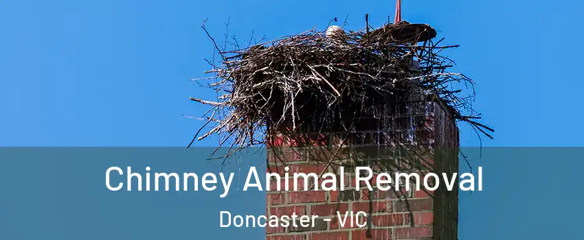 Chimney Animal Removal Doncaster - VIC