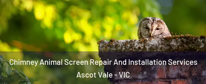 Chimney Animal Screen Repair And Installation Services Ascot Vale - VIC