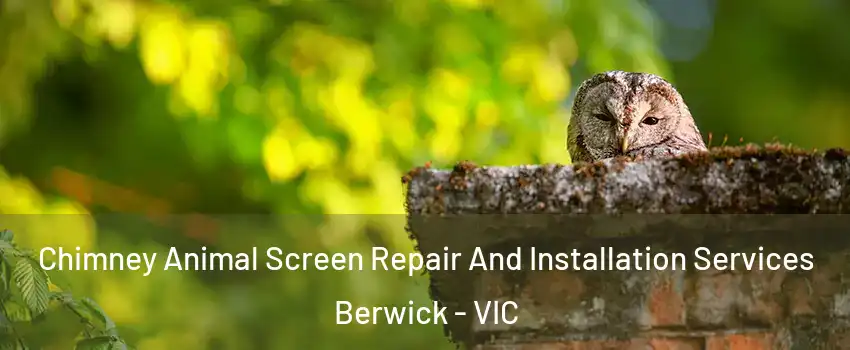 Chimney Animal Screen Repair And Installation Services Berwick - VIC