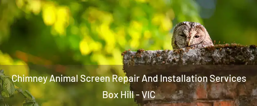 Chimney Animal Screen Repair And Installation Services Box Hill - VIC