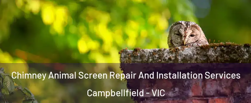 Chimney Animal Screen Repair And Installation Services Campbellfield - VIC