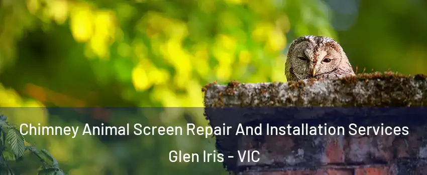 Chimney Animal Screen Repair And Installation Services Glen Iris - VIC