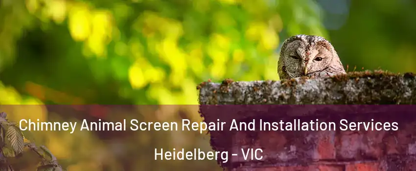 Chimney Animal Screen Repair And Installation Services Heidelberg - VIC