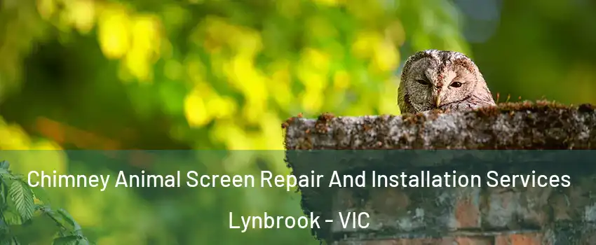 Chimney Animal Screen Repair And Installation Services Lynbrook - VIC