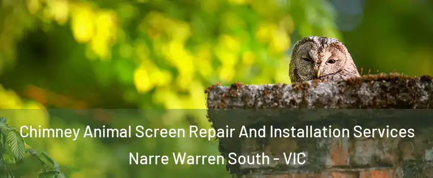 Chimney Animal Screen Repair And Installation Services Narre Warren South - VIC