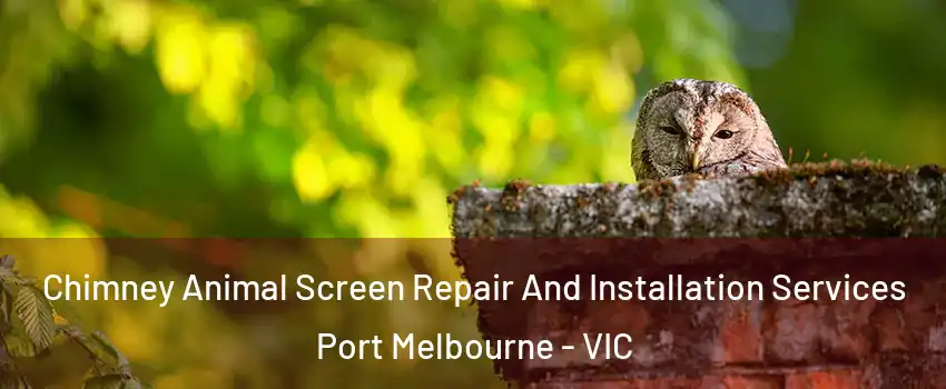 Chimney Animal Screen Repair And Installation Services Port Melbourne - VIC
