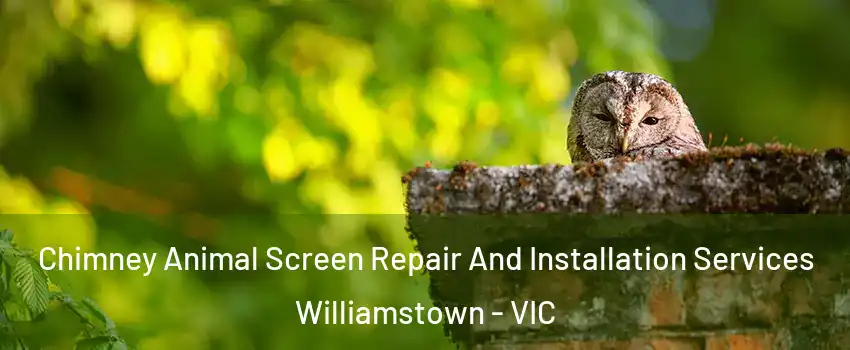 Chimney Animal Screen Repair And Installation Services Williamstown - VIC