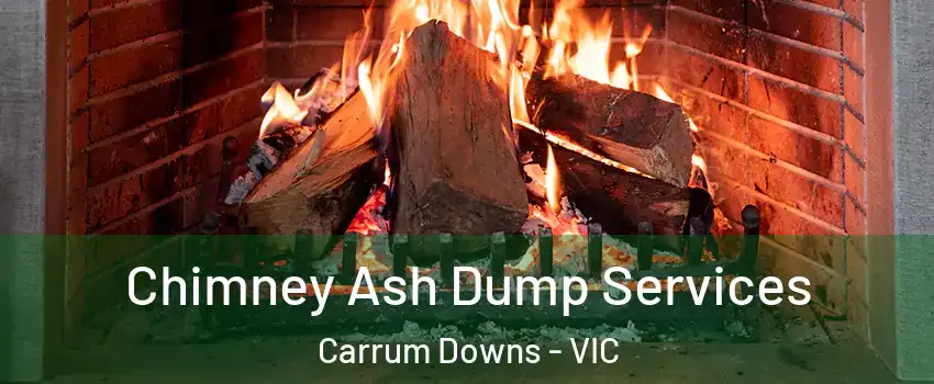 Chimney Ash Dump Services Carrum Downs - VIC