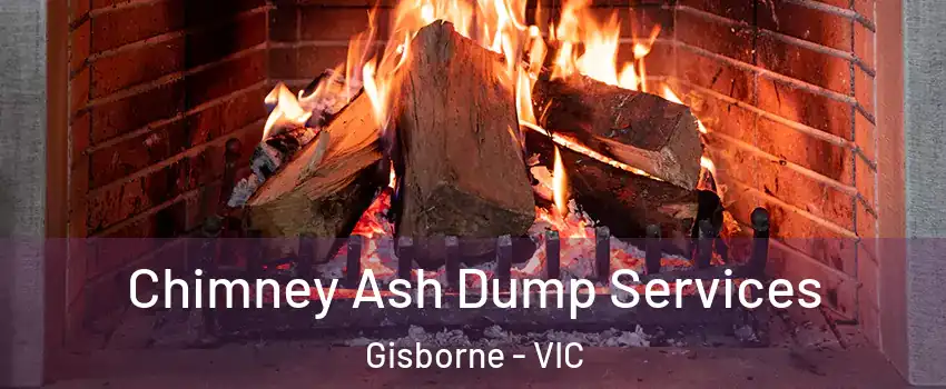 Chimney Ash Dump Services Gisborne - VIC
