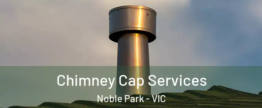 Chimney Cap Services Noble Park - VIC