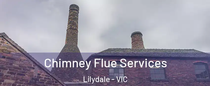 Chimney Flue Services Lilydale - VIC