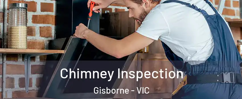 Chimney Inspection Gisborne - VIC