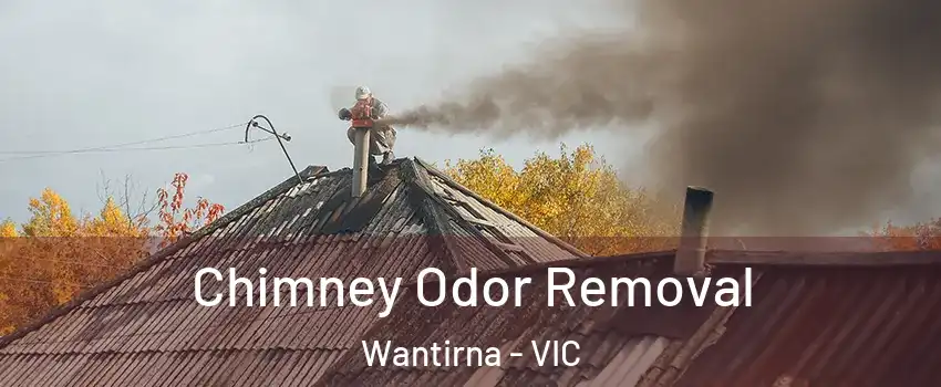 Chimney Odor Removal Wantirna - VIC