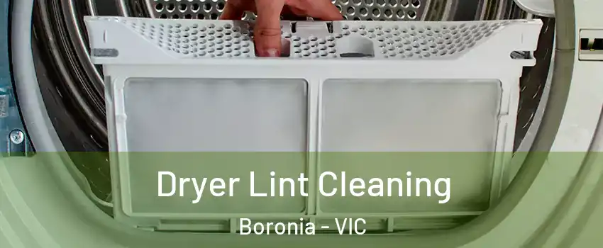 Dryer Lint Cleaning Boronia - VIC