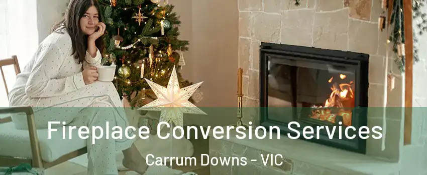 Fireplace Conversion Services Carrum Downs - VIC