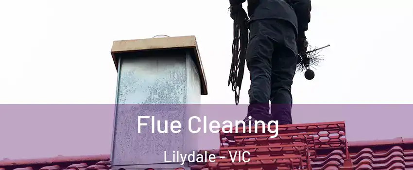 Flue Cleaning Lilydale - VIC