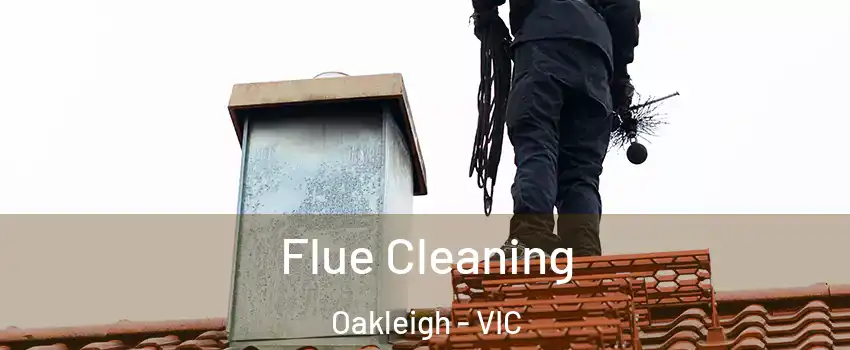 Flue Cleaning Oakleigh - VIC